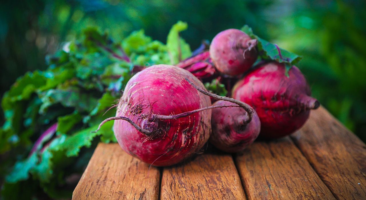 How to grow beetroot Cambridge Garden Services